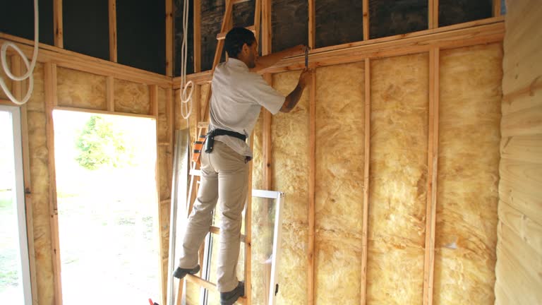 Best Garage Insulation  in Findlay, OH