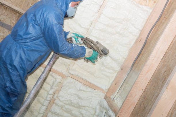 Best Spray Foam Insulation  in Findlay, OH